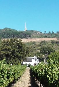 Laborie Wine Farm - Exclusive Tours