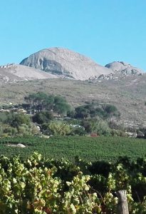 Paarl Mountain - Book online